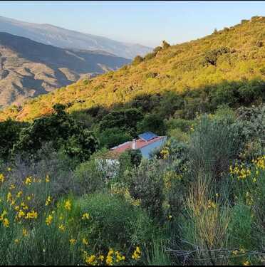 Foto - Haus in Los Guajares, Granada - 90.000,00&nbsp;EUR Kaufpreis, ca.&nbsp; 23.449,00&nbsp;m&sup2;