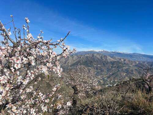 Foto - 3 Zimmer Einfamilienhaus in Los Guajares