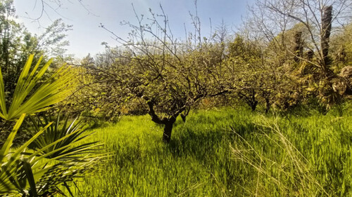 Foto - Grundstück in Castiglione delle Stiviere, Mantua
