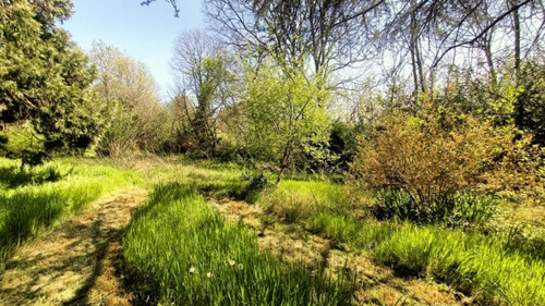 Foto - Grundstück in Castiglione delle Stiviere