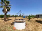 Foto - 2 Zimmer Einfamilienhaus zum Kaufen in Moura