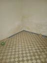 Foto - 5 Zimmer Einfamilienhaus zum Kaufen in Canada De La Lena
