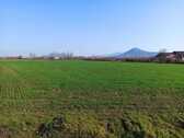 Foto - Gewerbeimmobilie in Noventa Vicentina, Vicenza