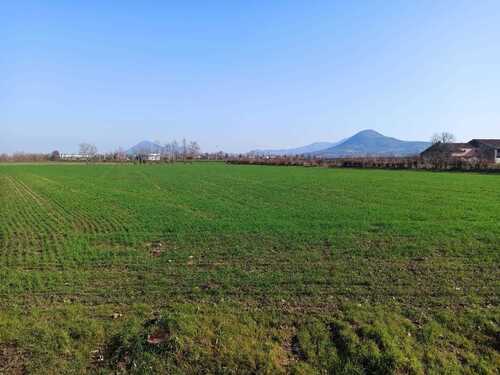 Foto - Gewerbeimmobilie in Noventa Vicentina, Vicenza