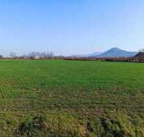 Gewerbeimmobilie in Noventa Vicentina, Vicenza