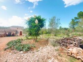 Foto - Cortijo in Muro, Mallorca - 390.000,00&nbsp;EUR Kaufpreis, ca.&nbsp; 5.264,00&nbsp;m&sup2;
