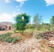 Cortijo in Muro, Mallorca - 390.000,00&nbsp;EUR Kaufpreis, ca.&nbsp; 5.264,00&nbsp;m&sup2; in Muro (PLZ: )