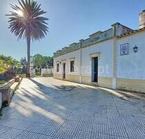 Gewerbeimmobilie in Silves, Faro