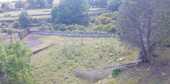 Foto - Einfamilienhaus in Pedara zum Kaufen