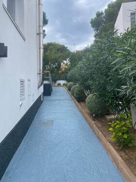 Foto - 3 Zimmer Einfamilienhaus in El Toro