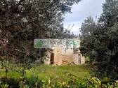 Foto - Einfamilienhaus zum Kaufen in Vasto