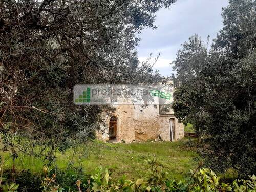 Foto - Einfamilienhaus zum Kaufen in Vasto
