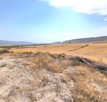 Landhaus in Jumilla, Murcia - 254.900,00&nbsp;EUR Kaufpreis, ca.&nbsp; 331.000,00&nbsp;m&sup2; in Jumilla (PLZ: )