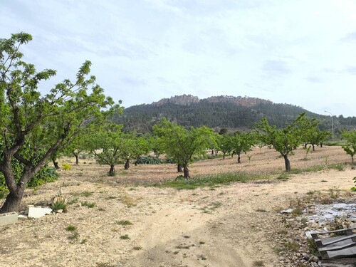 Foto - 7 Zimmer Einfamilienhaus zum Kaufen in Jumilla