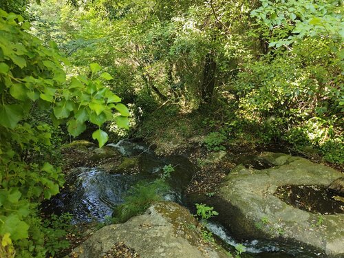 Foto - 3 Zimmer Einfamilienhaus zum Kaufen in Caudies-de-Fenouilledes