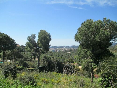 Foto - Grundstück in Sant Antoni De Calonge, Gerona