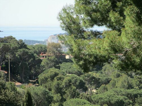 Foto - Grundstück in Sant Antoni De Calonge zum Kaufen