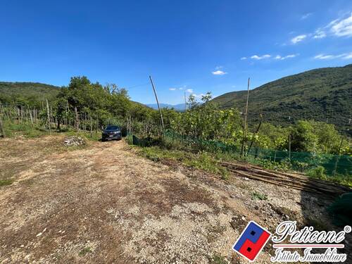 Foto - Einfamilienhaus in Vallecorsa zum Kaufen