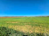 Foto - Grundstück in Yecla