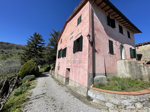 Foto - Einfamilienhaus in Lucca zum Kaufen