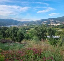 Grundstück in Ribeira de Pena, Vila Real Grundstück in Ribeira de Pena, Vila Real
