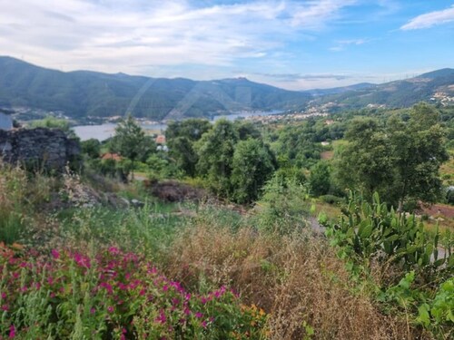 Foto - Grundstück in Ribeira de Pena