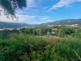 Foto - Grundstück in Ribeira de Pena zum Kaufen