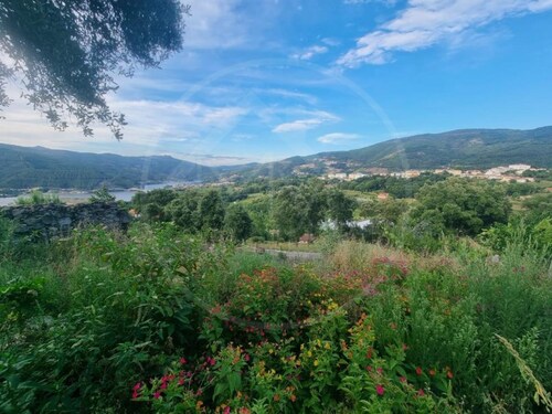 Foto - Grundstück in Ribeira de Pena zum Kaufen
