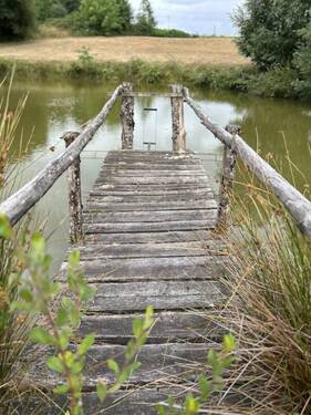 Foto - 