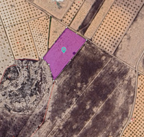 Grundstück in Abanilla, Murcia - 22.995,00&nbsp;EUR Kaufpreis, ca.&nbsp; 0,00&nbsp;m&sup2; in Abanilla (PLZ: )