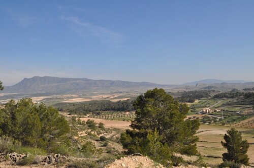 Foto - Grundstück zum Kaufen in La Zarza