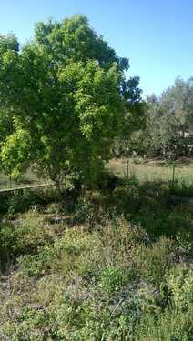 Foto - 5 Zimmer Einfamilienhaus in Ragusa
