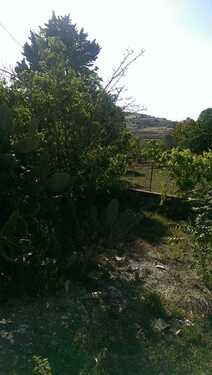 Foto - Einfamilienhaus in Ragusa zum Kaufen