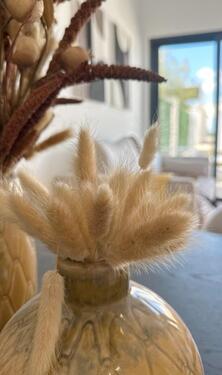 Foto - Einfamilienhaus in Alicante zum Kaufen