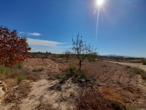 Foto - 4 Zimmer Einfamilienhaus zum Kaufen in Pinoso