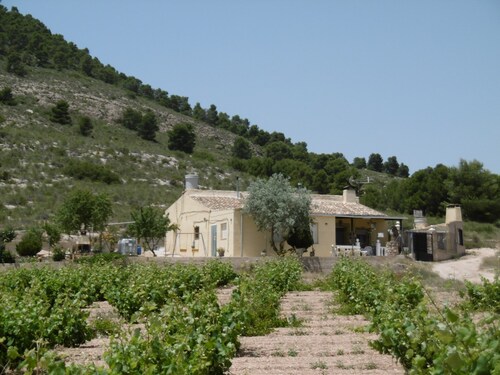 Foto - Landhaus in Yecla, Murcia - 139.000,00&nbsp;EUR Kaufpreis, ca.&nbsp; 12.800,00&nbsp;m&sup2;