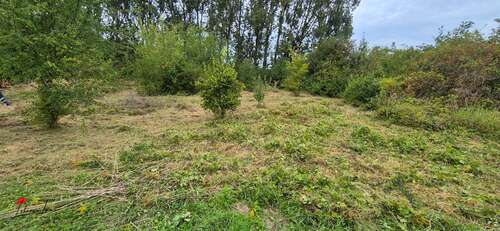 Grundstücksfoto_01 - 