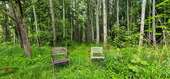 Wald / Außenbereich - 
