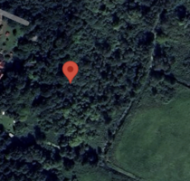 Lebendiges Labor: Naturgrundstück mit Biotopanteil für Forschung & Beobachtung - Bestensee