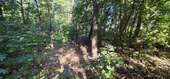Ansicht 08 - 
