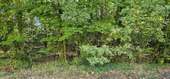 Ansicht 06 - 