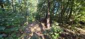 Ansicht 09 - 