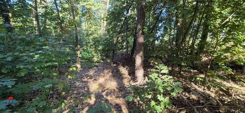 Ansicht 09 - 