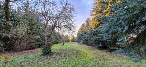 Gartenansicht - 