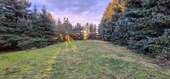 Gartenansicht - 
