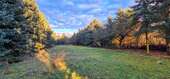 Gartenansicht - 