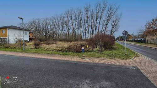 Baugrundstück - Grundstück in Schönefeld zum Kaufen