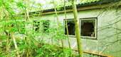 Hauptbild - 
