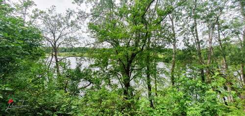 Aussicht zur Havel - 