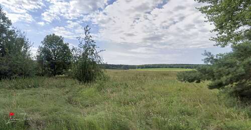 Ansicht - Anlageobjekt in Kloster Lehnin